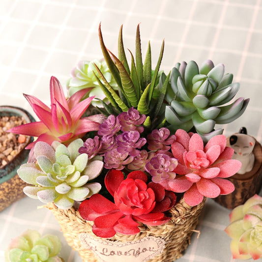 Créez un jardin miniature avec nos adorables plantes succulentes artificielles : des ornements de décoration en plastique pour votre maison et votre jardin